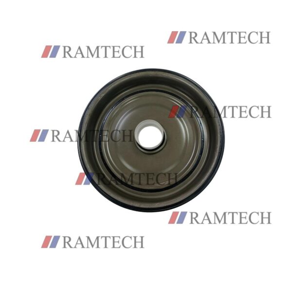 DSG (WW02E) FRONT COVER PLATE (47X245X34) AM